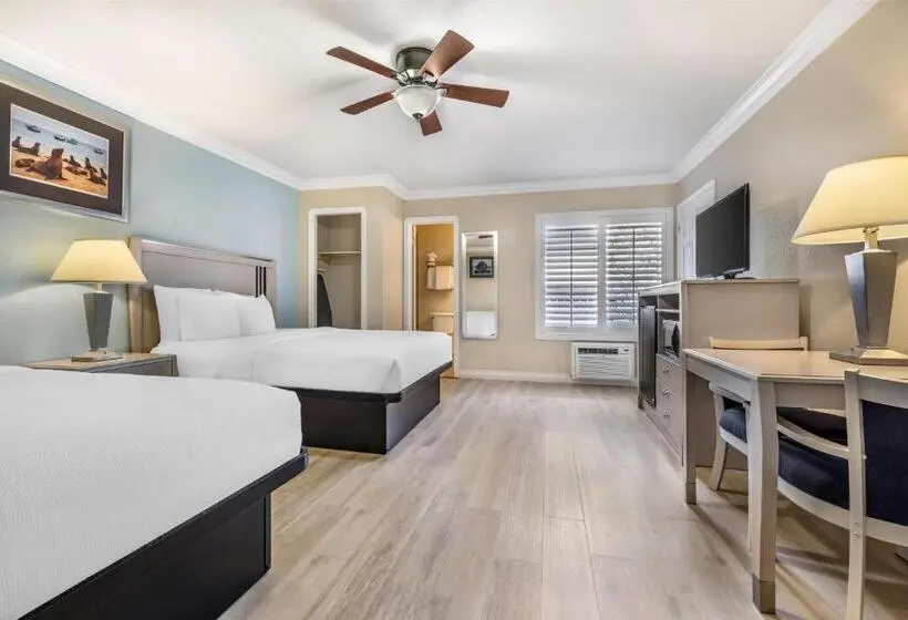 Standard-huone, Best Western Tradewinds