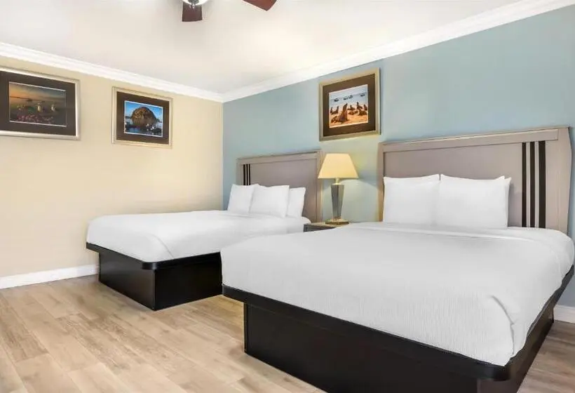 Standard-huone, Best Western Tradewinds