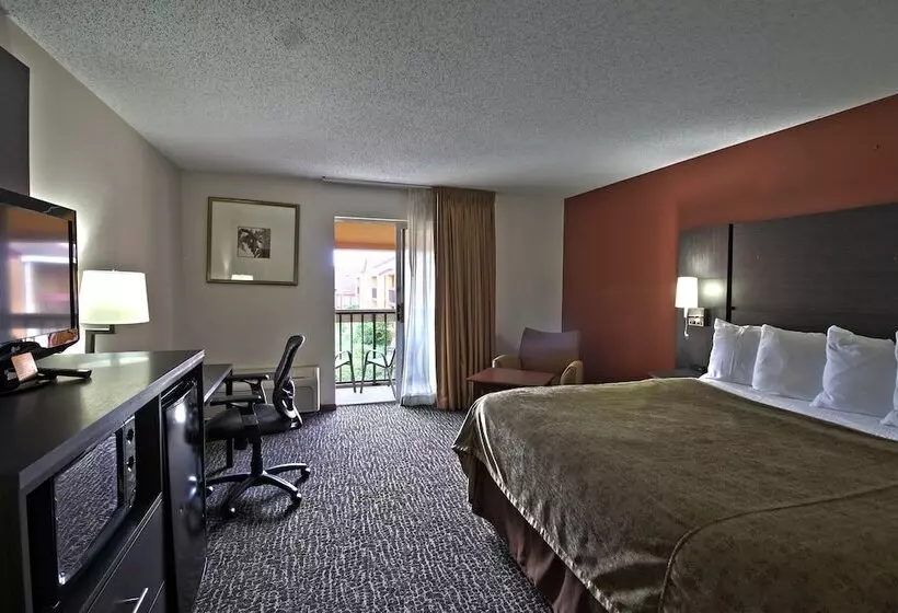ロイヤルルーム, Chicago Club Inn & Suite