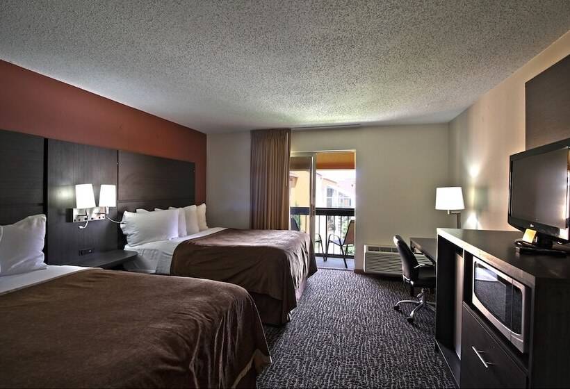 اتاق رویال, Chicago Club Inn & Suite