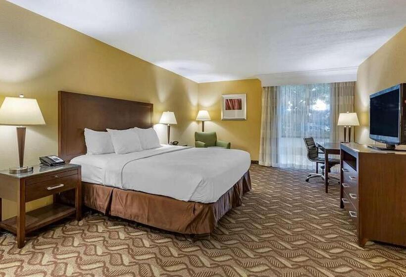 חדר סטנדרט עם מיטת קינג, Clarion Inn & Suites