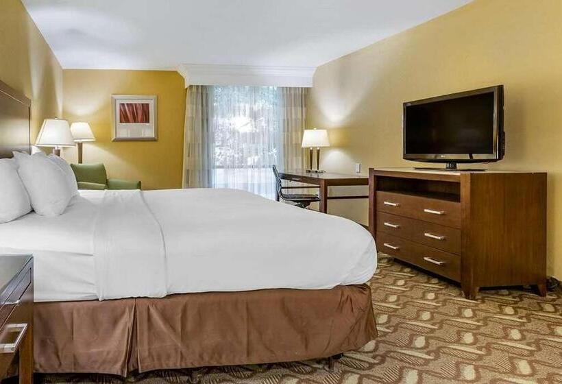 חדר סטנדרט עם מיטת קינג, Clarion Inn & Suites