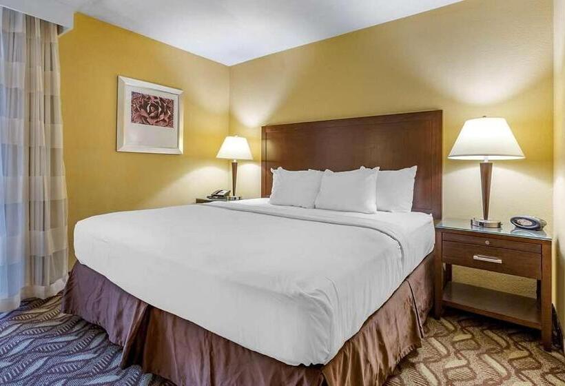 חדר דלוקס עם מיטת קינג, Clarion Inn & Suites