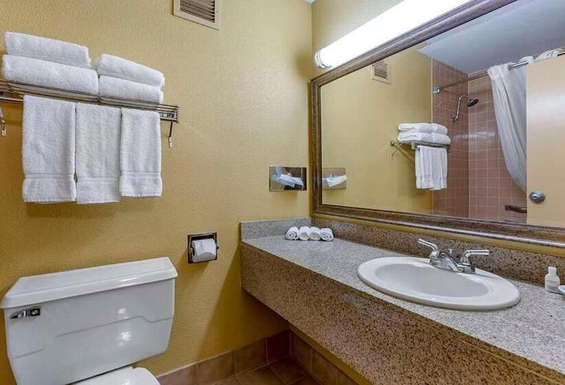 חדר דלוקס עם מיטת קינג, Clarion Inn & Suites