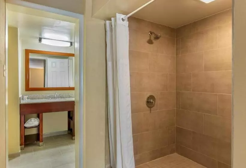 اتاق استاندارد با تخت بزرگ, Comfort Inn Petersburg Near Fort Greggadams