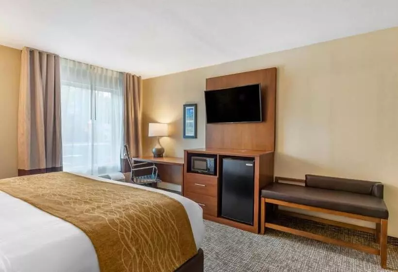 اتاق استاندارد با تخت بزرگ, Comfort Inn Petersburg Near Fort Greggadams