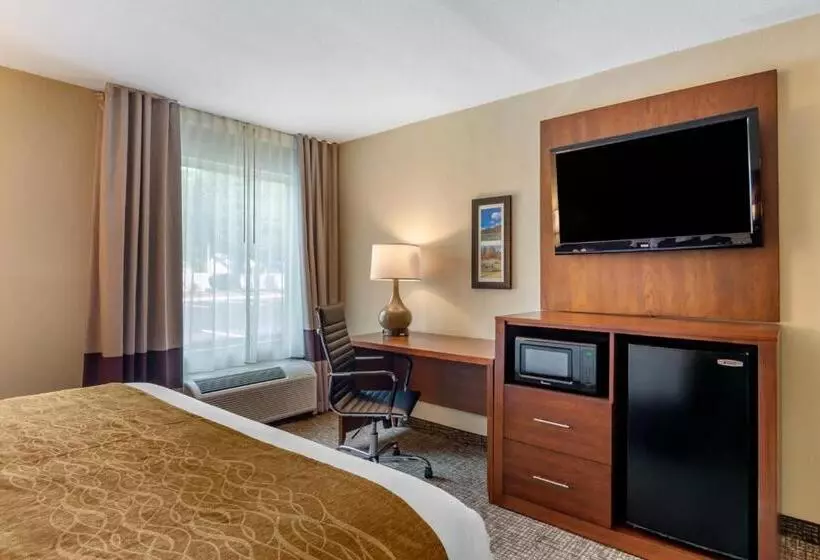 اتاق استاندارد با تخت بزرگ, Comfort Inn Petersburg Near Fort Greggadams