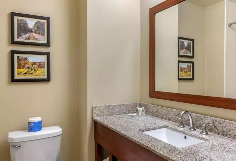 اتاق استاندارد اینتریور, Comfort Inn Petersburg Near Fort Greggadams