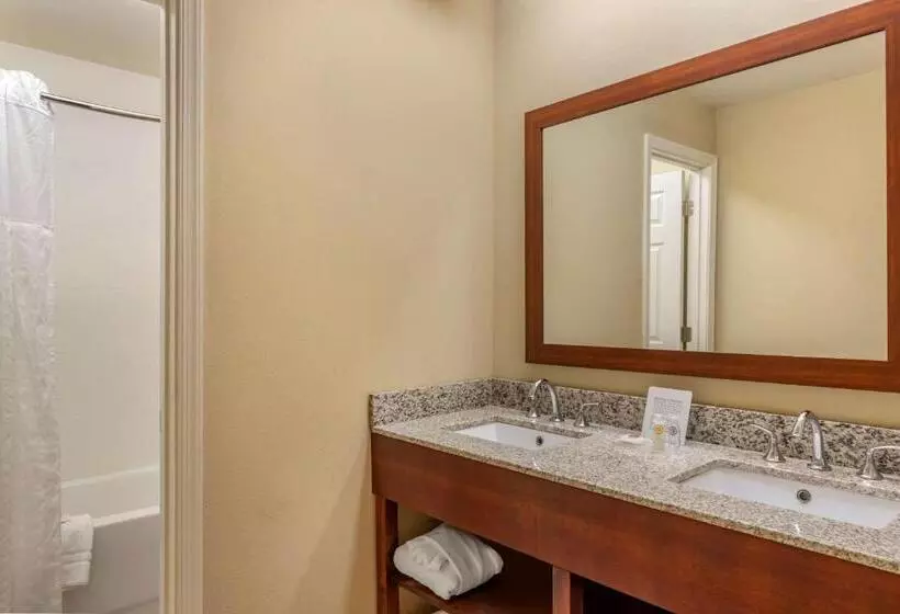 اتاق سوپریور, Comfort Inn Petersburg Near Fort Greggadams