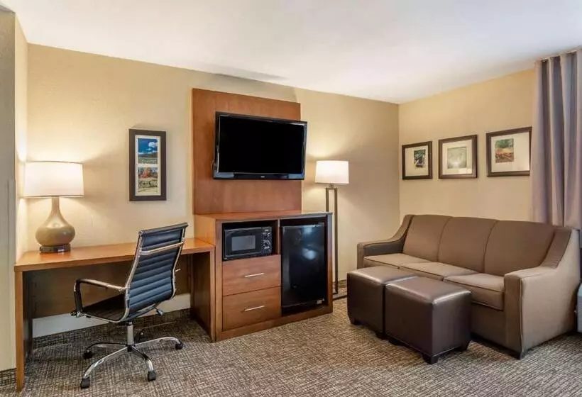اتاق سوپریور, Comfort Inn Petersburg Near Fort Greggadams