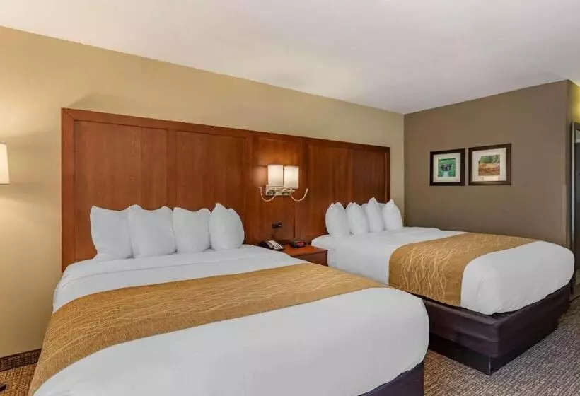 اتاق استاندارد, Comfort Inn Petersburg Near Fort Greggadams
