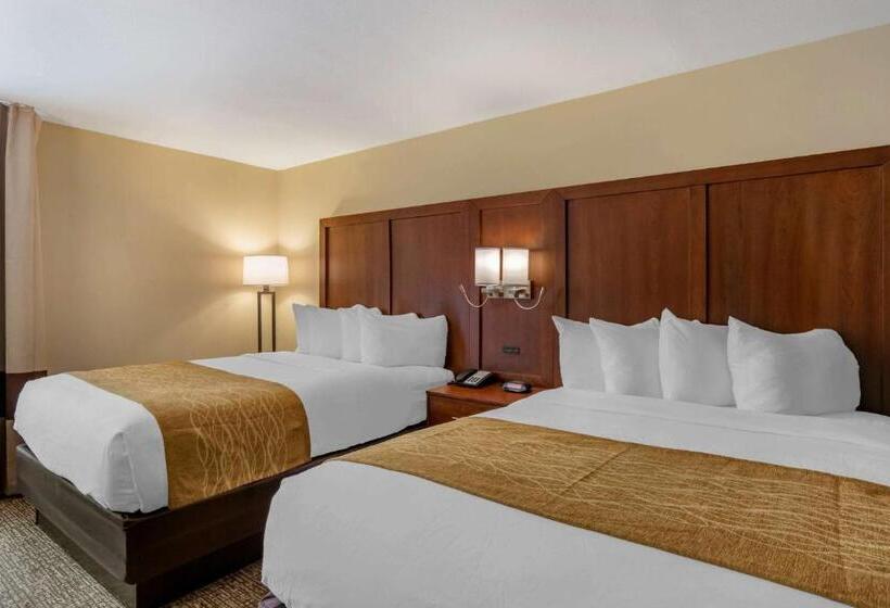 스탠다드 룸, Comfort Inn Petersburg Near Fort Greggadams