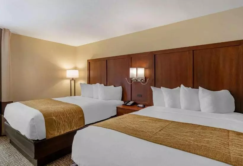 اتاق استاندارد, Comfort Inn Petersburg Near Fort Greggadams