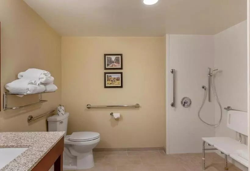 اتاق استاندارد با تخت بزرگ برای معلولان, Comfort Inn Petersburg Near Fort Greggadams