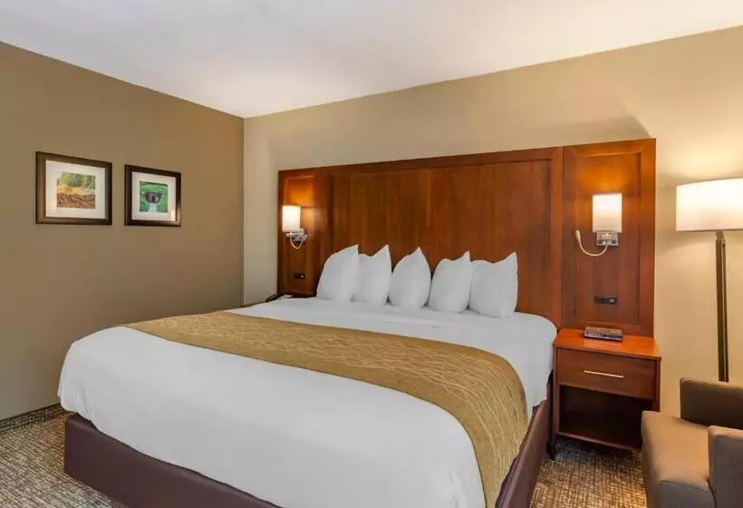 اتاق استاندارد با تخت بزرگ برای معلولان, Comfort Inn Petersburg Near Fort Greggadams