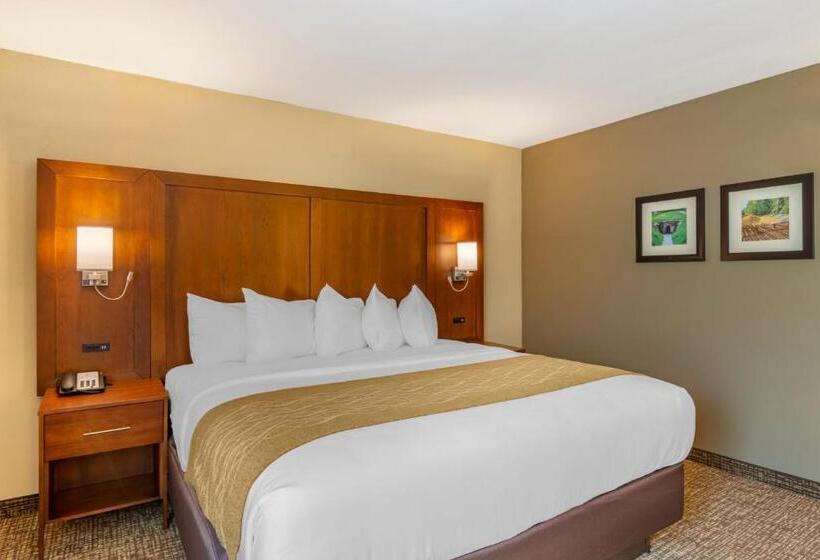 غرفة قياسية سرير كينج لذوى الإحتياجات الخاصة, Comfort Inn Petersburg Near Fort Greggadams