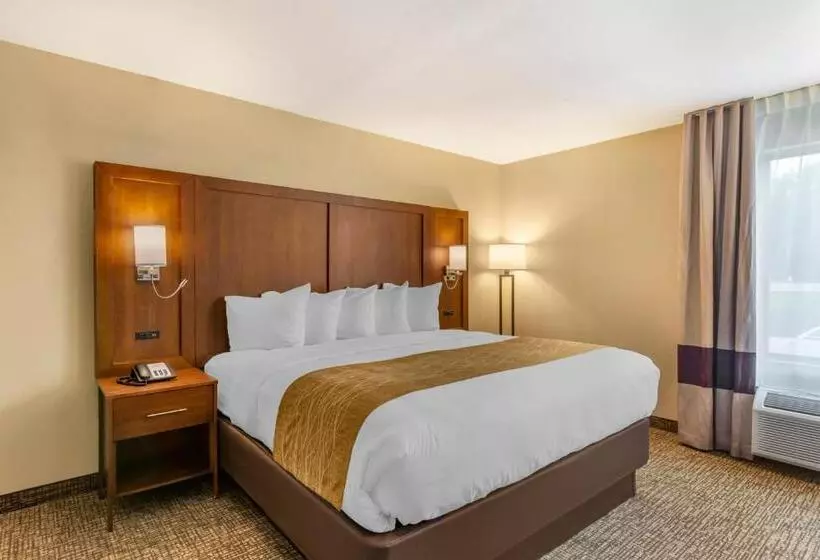 اتاق استاندارد با تخت بزرگ برای معلولان, Comfort Inn Petersburg Near Fort Greggadams