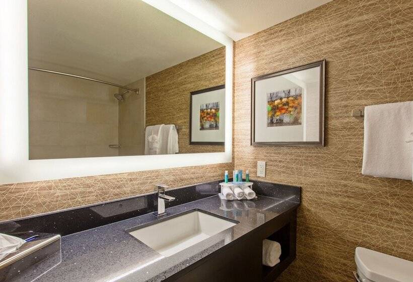 חדר סטנדרט, Holiday Inn Express San Bernardino Colton, An Ihg