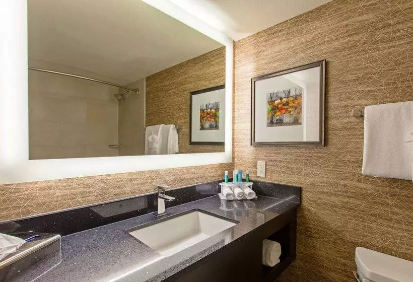 اتاق استاندارد, Holiday Inn Express San Bernardino Colton, An Ihg