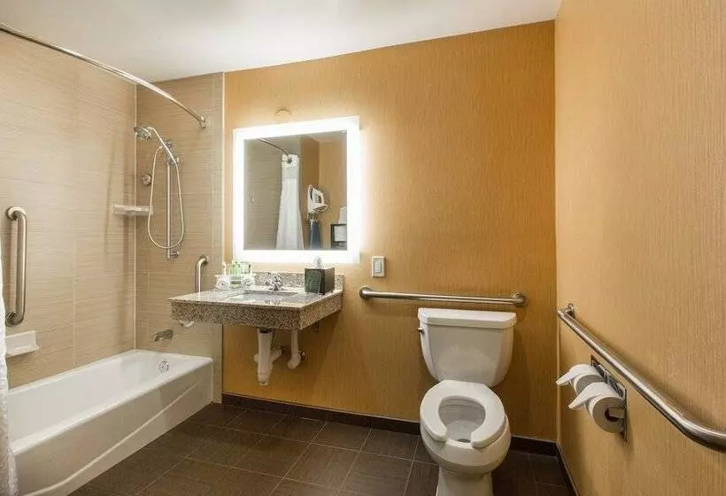اتاق استاندارد, Holiday Inn Express Mountain View South Palo Alto, An Ihg