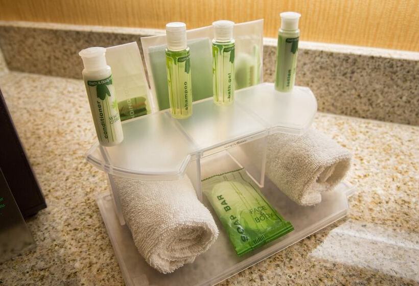 スタンダードルーム, Holiday Inn Express Mountain View South Palo Alto, An Ihg