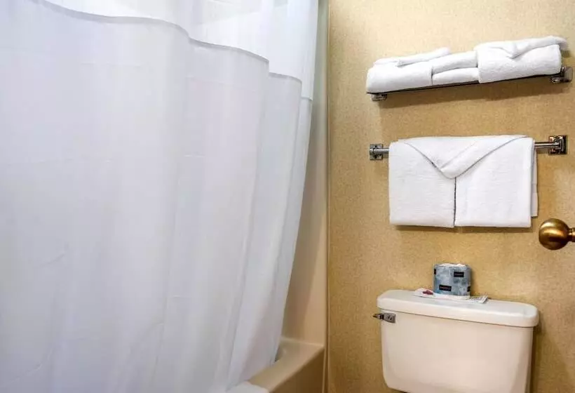 اتاق استاندارد با 2 تخت دوبل, Quality Inn At Bangor Mall