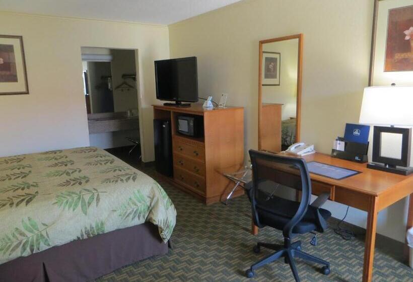 غرفة قياسية سرير كينج, Red Coach Inn