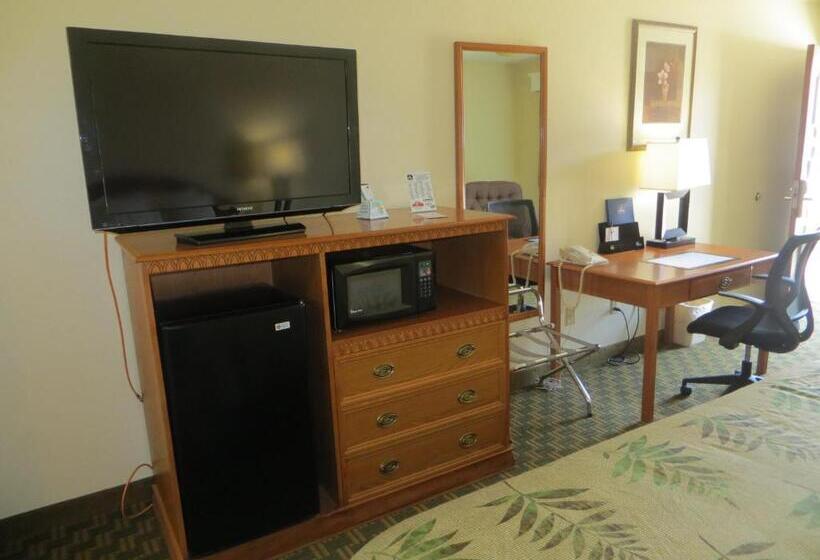 غرفة قياسية سرير كينج, Red Coach Inn