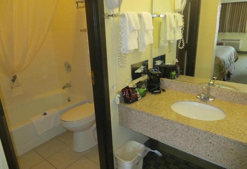 غرفة قياسية سرير كينج, Red Coach Inn