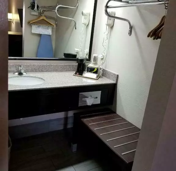Standard-invahuone King-vuode, Surestay Hotel By Best Western Terrell