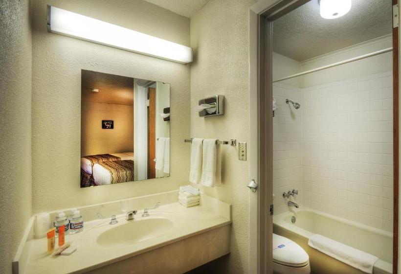 クイーンサイズベッドのスタンダードルーム, Roadrunner Lodge Motel