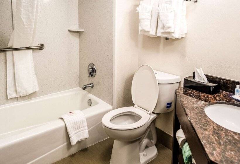 스탠다드 룸 더블 침대 2개, Comfort Inn Downtown Charleston