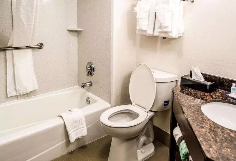 Standard-huone 2 Parivuodetta, Comfort Inn Downtown Charleston