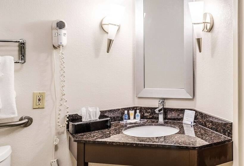 Номер Стандарт 2 Двуспальные Кровати, Comfort Inn Downtown Charleston