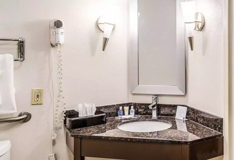 Standard-huone 2 Parivuodetta, Comfort Inn Downtown Charleston