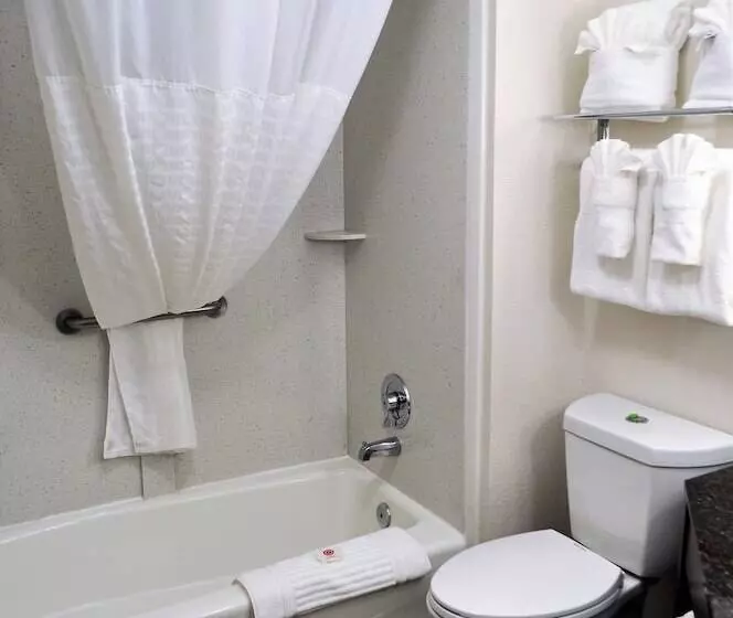Standard-huone 2 Parivuodetta, Comfort Inn Downtown Charleston