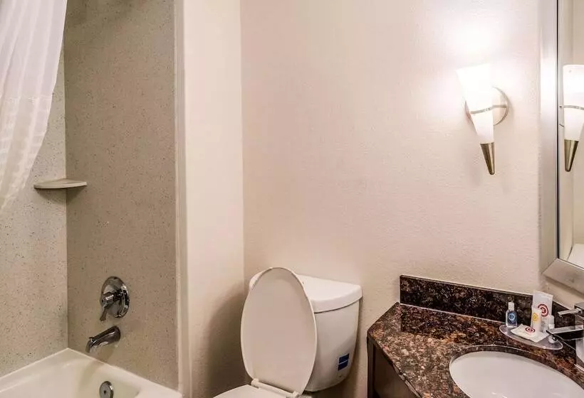 Sviitti, Comfort Inn Downtown Charleston