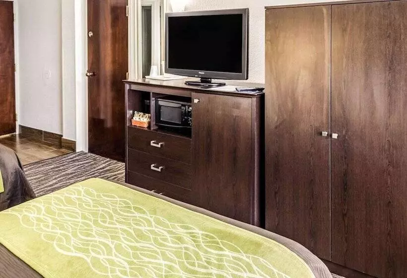 Sviitti, Comfort Inn Downtown Charleston