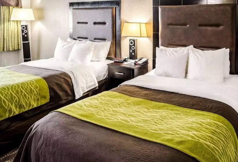 Sviitti, Comfort Inn Downtown Charleston