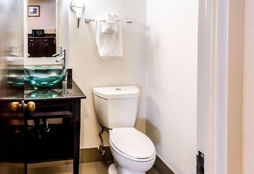 스위트, Comfort Inn Downtown Charleston