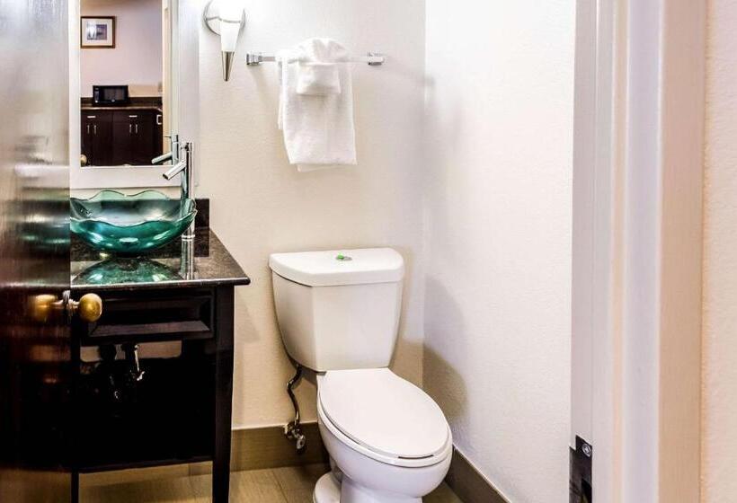 스탠다드 룸 킹사이즈 침대, Comfort Inn Downtown Charleston