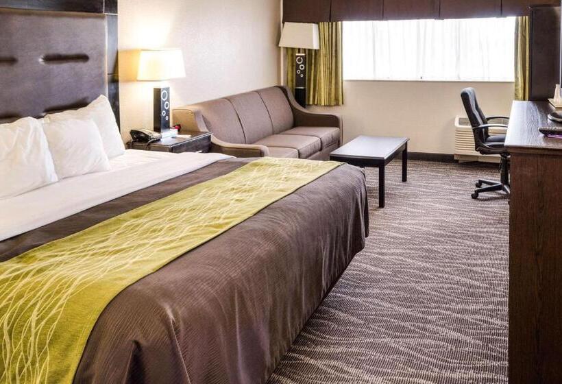 스탠다드 룸 킹사이즈 침대, Comfort Inn Downtown Charleston