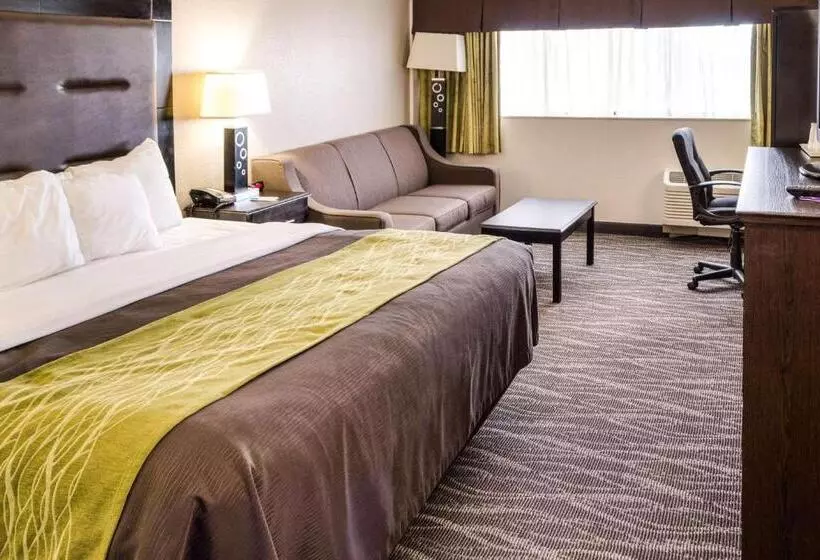 Standard-huone King-vuode, Comfort Inn Downtown Charleston