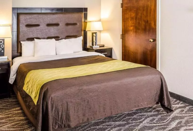 Standard-huone King-vuode, Comfort Inn Downtown Charleston