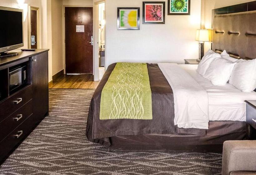 스탠다드 룸 킹사이즈 침대, Comfort Inn Downtown Charleston