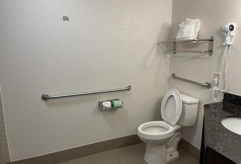 장애인을 위한 스탠다드 룸, Comfort Inn Downtown Charleston