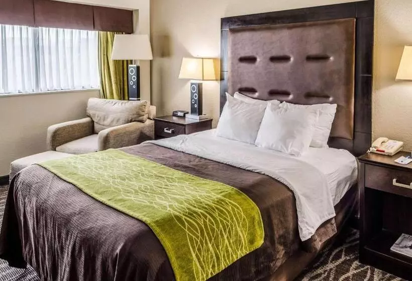 Standard-invahuone, Comfort Inn Downtown Charleston