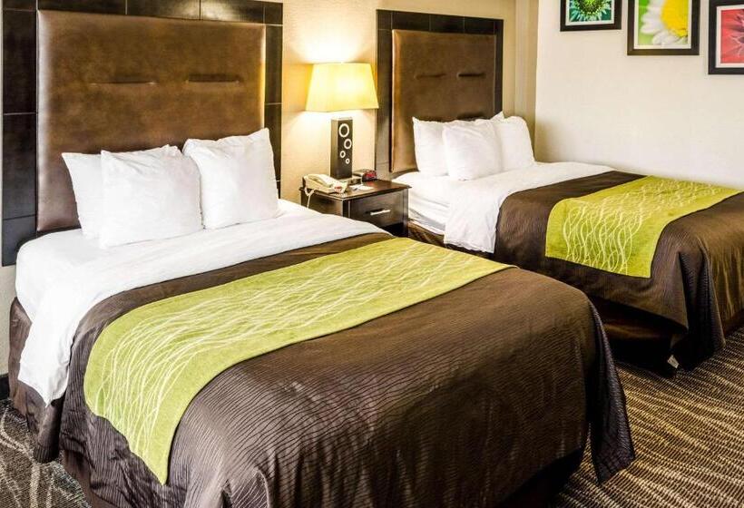 스위트, Comfort Inn Downtown Charleston