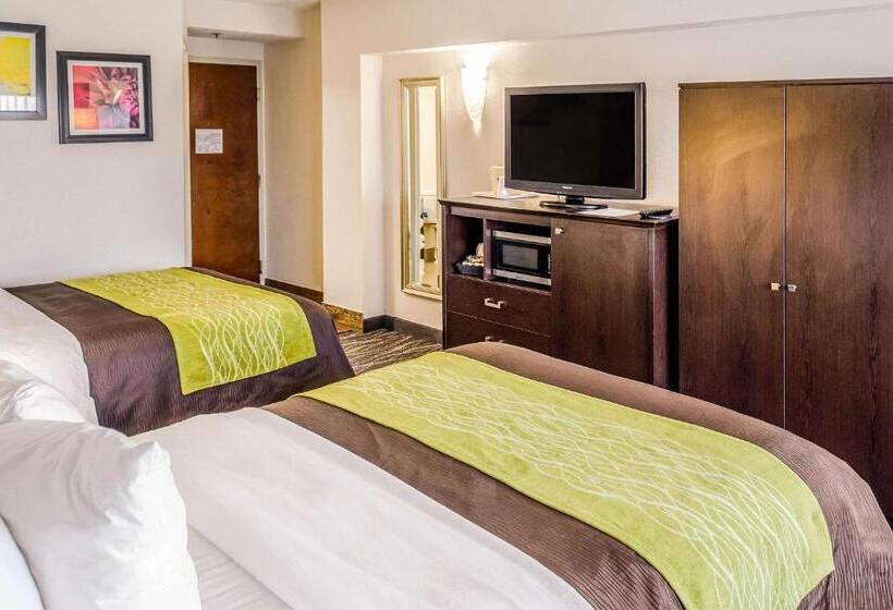 스위트, Comfort Inn Downtown Charleston