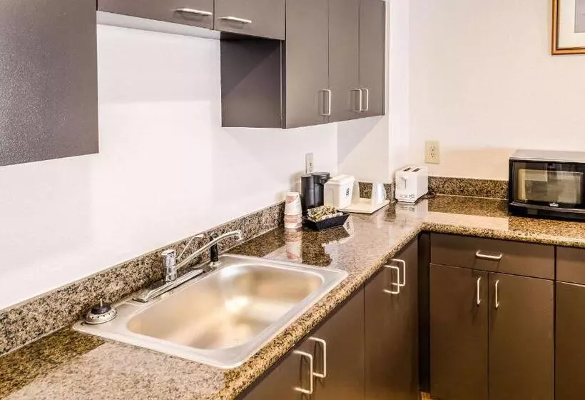 Sviitti King-vuode, Comfort Inn Downtown Charleston